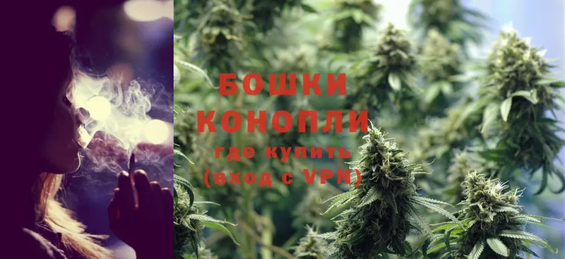 Канабис OG Kush  Городовиковск 